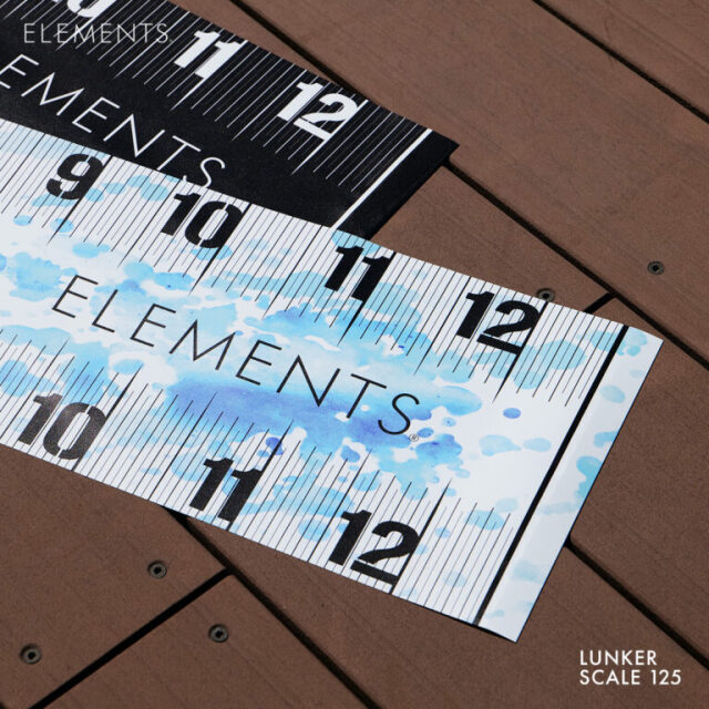 ELEMENTS Davinci LUNKER SCALE 125