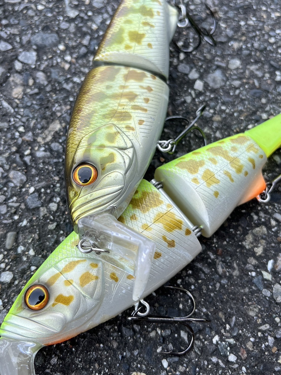 新品 10 TEN-FEET テンフィートアンダー イェーガー チャ雷 新品 10 TEN-FEET テンフィートアンダー イェーガー 雷魚 新品