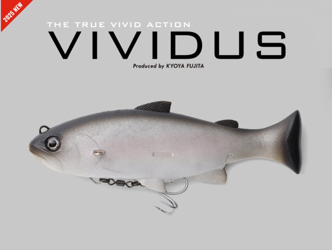 ☆ 限定 特別仕様 ジャッカル ヴィヴィダス WEB先行販売 ☆ ヴィヴィダス VIVIDUS ジャッカル JACKALL