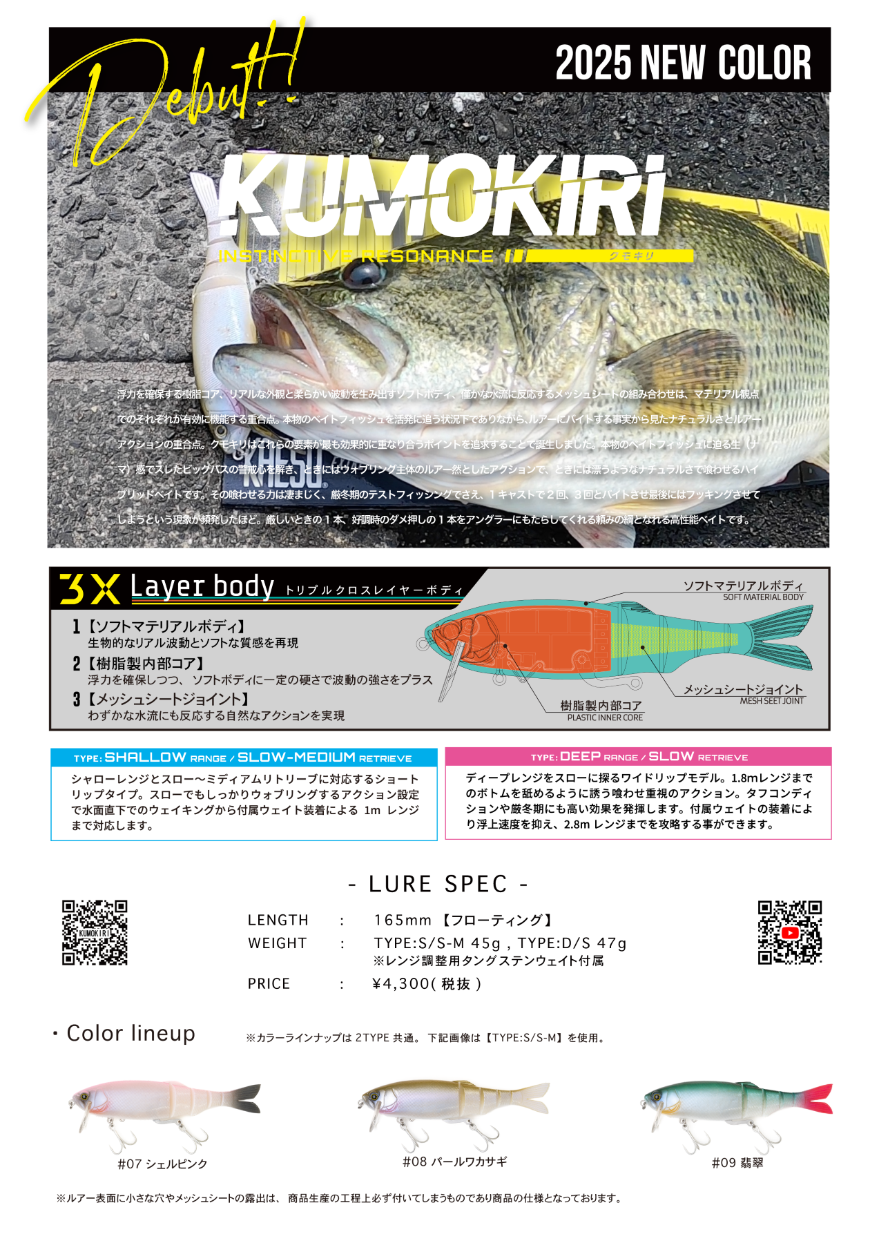 クモキリ  KUMOKIRI  2025新色  カエス KAESU