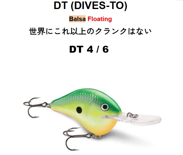 ダイブストゥ  DT (DIVES-TO)  DT4  DT6