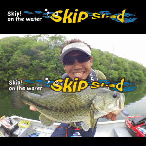 スキップシャッド 4.8インチ  Skip Shad 4.8"  10FTU