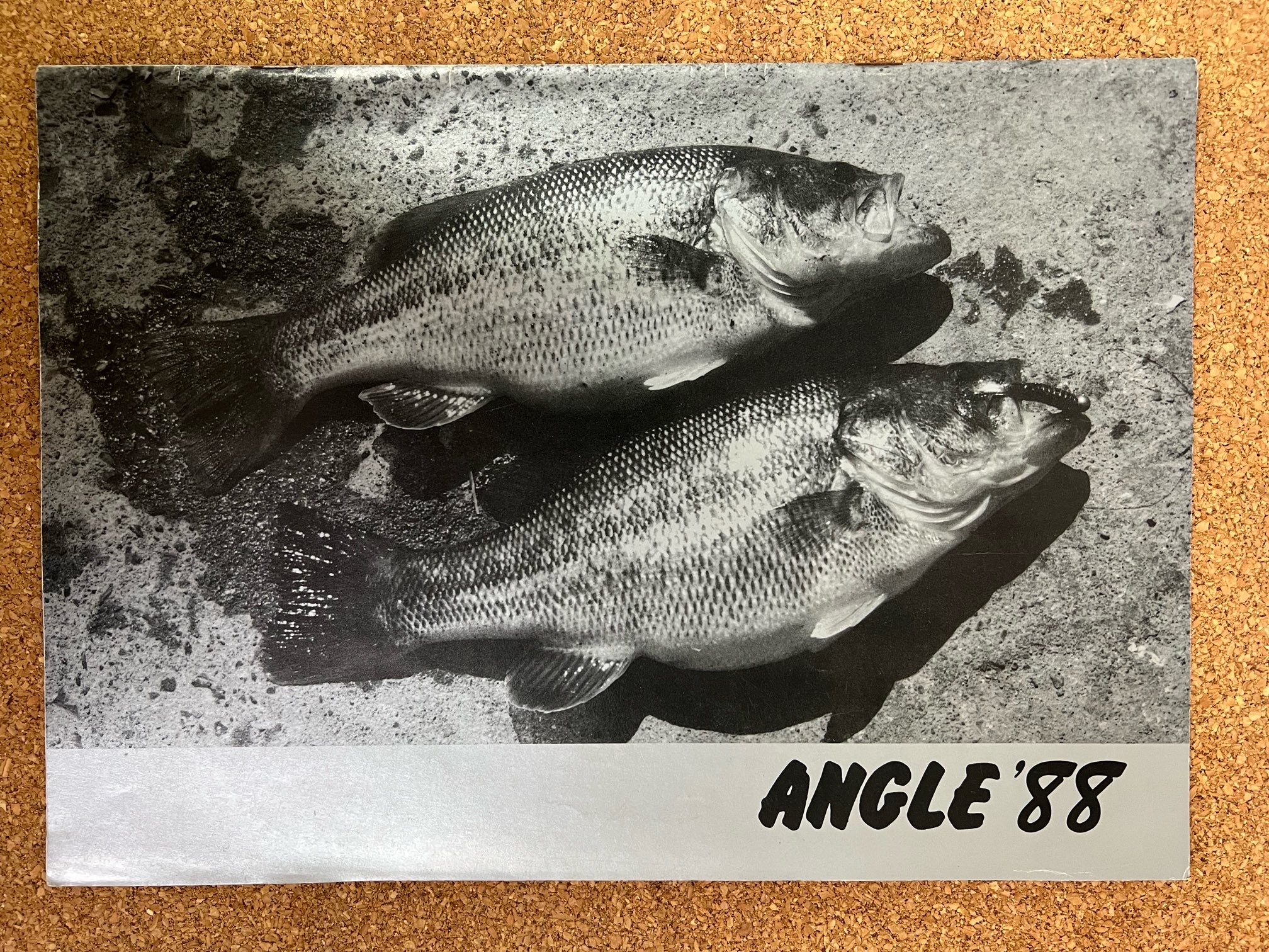 ANGLE アングル　1988年代　有限会社アングル　総合カタログ　釣具カタログ　釣り本　中古本　カタログ  中古カタログ　USED