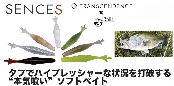 【トランスセンデンス×チル】”Ｅｇｕｉｔａ３ｉｎ/イギータ３インチ”代引き不可