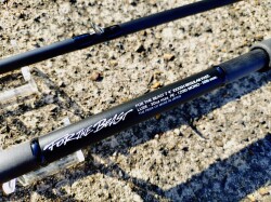 フォーザビースト74xxxxh 24モデル　スタジオコンポジット ファーザビースト 74XXXXH FOR THE BEAST 74XXXXH スタジオコンポジット ID