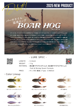 ボアーホッグ 3.4インチ  カエス KAESU