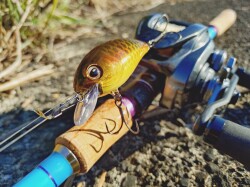 アベンジクランク 100  大江キンブナ  カニエのポパイ オリジナルカラー