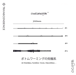 お*ん様 トランスセンデンス　オセレイト　59.70 オセレイト59+ Ocelate59B+ トランスセンデンス TRANSCENDENCE