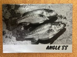 ANGLE アングル　1988年代　有限会社アングル　総合カタログ　釣具カタログ　釣り本　中古本　カタログ  中古カタログ　USED