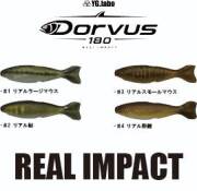 ご予約専用！9月入荷予定！ドーヴァス180  ワイジーラボ