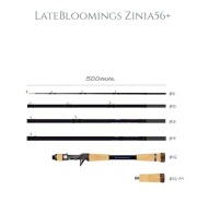 レイトブルーミングス  ZINIA 56+   LATEBLOOMINGS ZINIA 56+　トランスセンデンス TRANSCENDENCE
