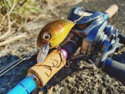 アベンジクランク 100  大江キンブナ  カニエのポパイ オリジナルカラー