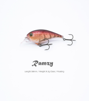 ラムジー  Ramzy