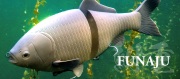 鮒重  フナジュウ  デプス DEPS