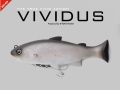 ヴィヴィダス  VIVIDUS   ジャッカル  JACKALL