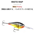 リストラップ  RR4 / RR5
