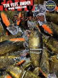 イェーガー ブレインキンクロ  カニエのポパイ オリジナルカラー テンフィートアンダー 10FTU