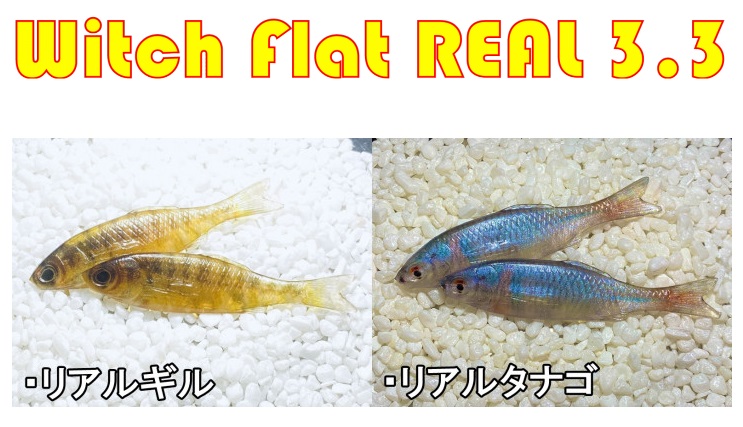 YG.labo/ワイジーラボ Witch flat RAEL3.3"/ウィッチフラット リアル3.3"