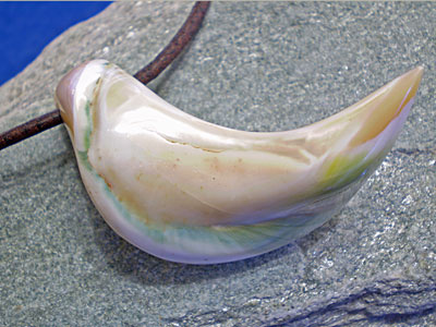 海からの贈り物★夜光貝チョーカー