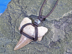 シンプルデザイン★サメ歯化石チョーカー（ネックレス）【メタルビーズ】