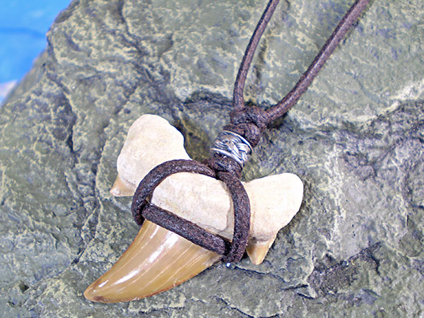 カマヒレザメネックレスペンダント化石DIYDB3TAKUMI