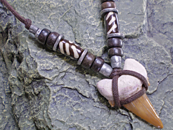 サーファー必見！サメ歯化石チョーカー