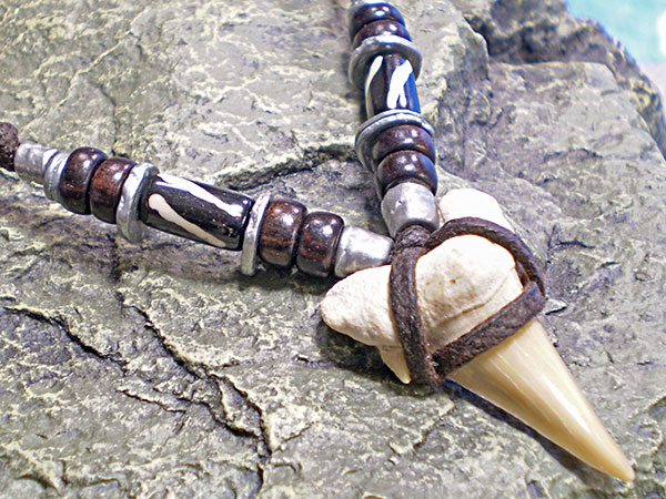 サーファー必見！サメ歯化石チョーカー