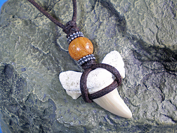 シンプルデザイン★サメ歯化石チョーカー（ネックレス）【ウッドビーズ】