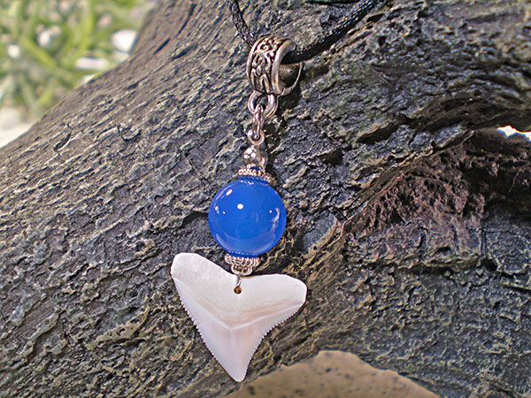 ギフトにもおすすめ！メジロザメ歯チョーカー【ブルーアゲート/TCM-3C-102】