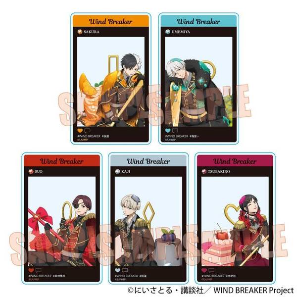 WIND BREAKER トレーディングアクリルカード ドルチェ 5個入BOX