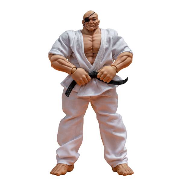 範馬刃牙　バキ　ストームコレクティブルズ　アクションフィギュア Amazon.co.jp: バキ アクションフィギュア 範馬刃牙 ストーム