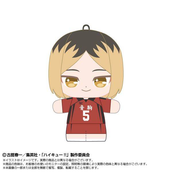 ハイキュー 孤爪研磨 アニメイトポイント 非売品 ハイキュー!! ぷりぬいたっちどりーむみにみに 孤爪 研磨