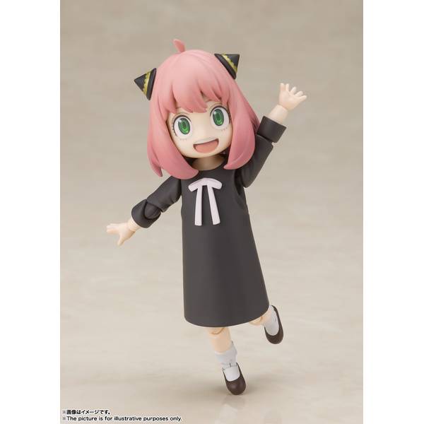 あにゃさん専用 キャティーマン 猫ちゃんテンション爆アゲBOX (45280) : 56nyan
