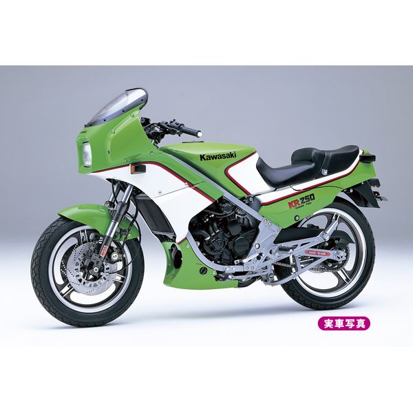 ハセガワ 1/12 カワサキ KR250(KR250A) スケールモデル BK12