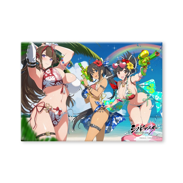 【9月予約】キャンバスアート 画集描き下ろし水着Ver. 【TOP】 シノビマスター閃乱カグラ NEW LINK キャラグッズ 4981932079417