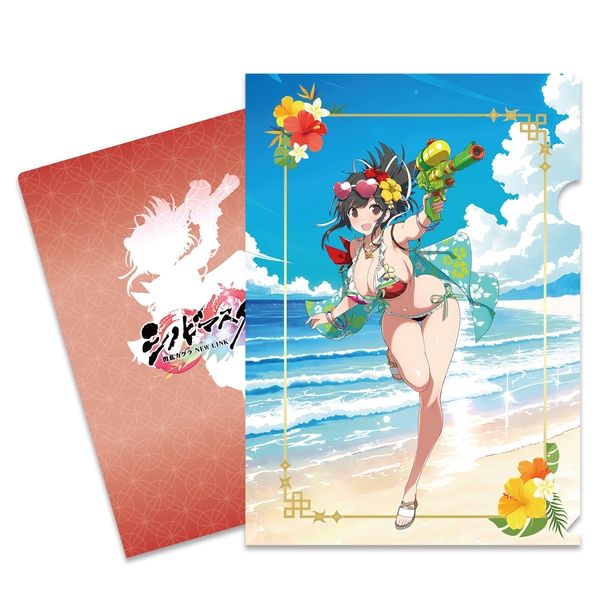 【9月予約】A4クリアファイル4枚セット 画集描き下ろし水着Ver.【TOP】 シノビマスター閃乱カグラ NEW LINK キャラグッズ 4981932079455
