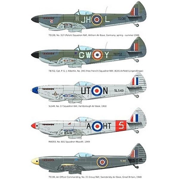 (未使用･未開封品)　エデュアルド 1/48 スピットファイア Mk.XVI バブルトップ EDU8285 プラモデル df5ndr3 スピットファイア Mk.XVI バブルトップ プロフィパック
