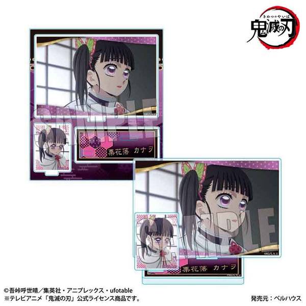【10月予約】『テレビアニメ「鬼滅の刃」柱稽古編』 BIGメモリーズアクリルスタンド 栗花落 カナヲ キャラグッズ 4522776646214