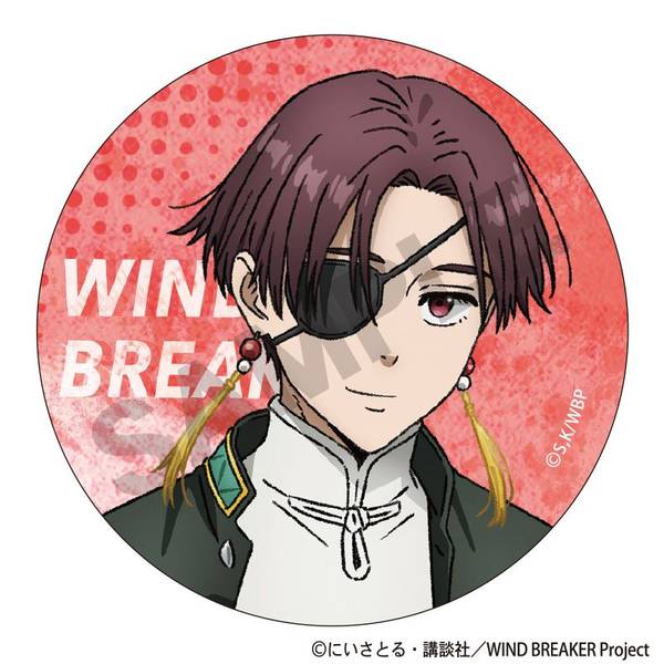 缶バッジ10個 WIND BREAKER トレーディング缶バッジ 10個入BOX