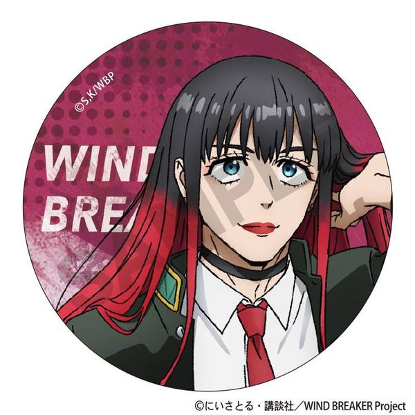 WIND BREAKER トレーディング缶バッジ 10個入BOX