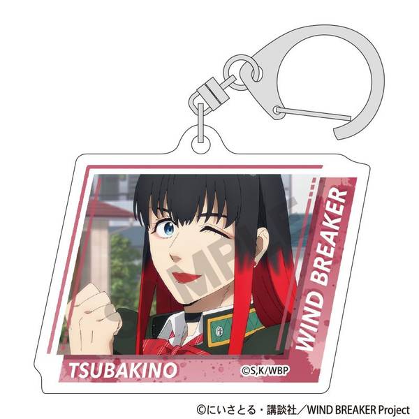 WIND BREAKER トレーディングアクリルキーホルダー 10個入BOX
