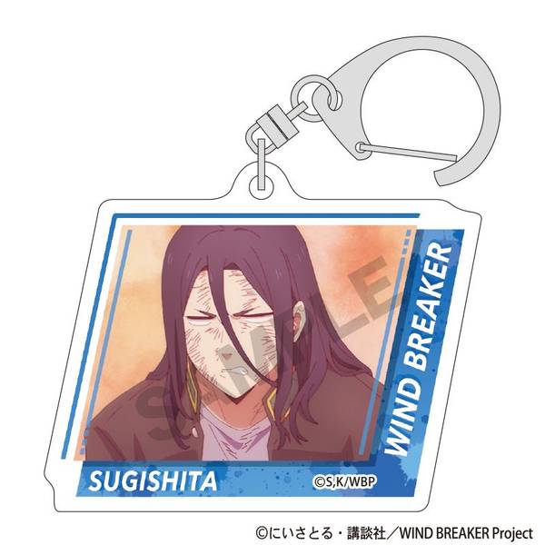 WIND BREAKER トレーディングアクリルキーホルダー 10個入BOX