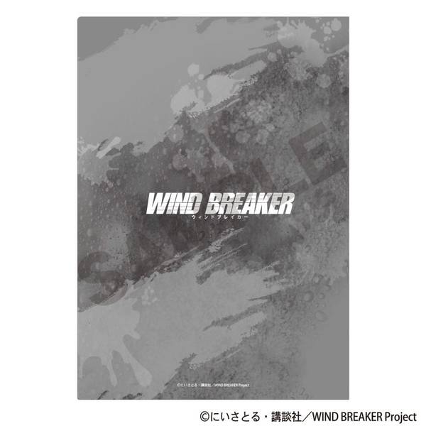 龍捲風&藍信一ピンバッジ　クリアファイル&ステッカー付き 龍捲風&藍信一ピンバッジ クリアファイル&ステッカー付き