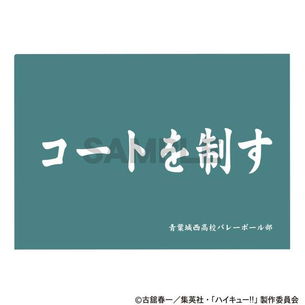 【3月予約】ハイキュー!! シングルクリアファイル 青葉城西高校 キャラグッズ 4550451384465