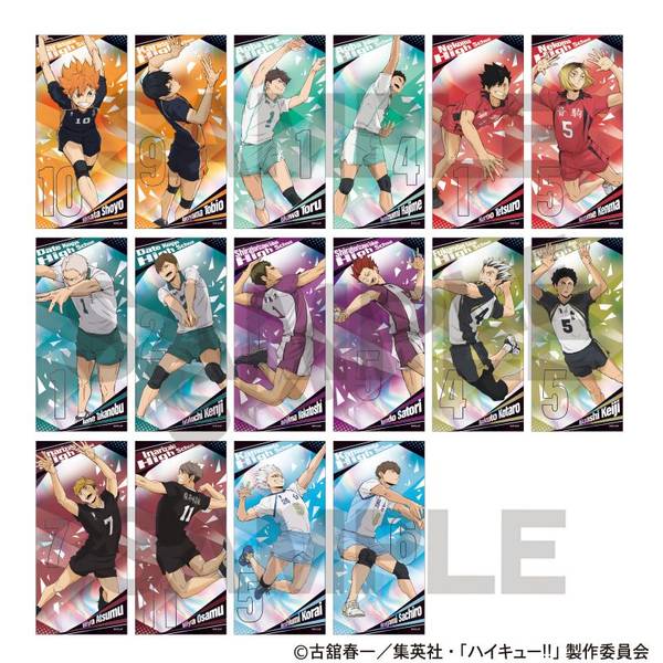 ハイキュー!! 下敷き 青葉城西高校 | 4550451382690 | ポストホビーWEBSHOP