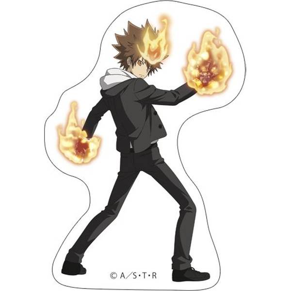 【3月予約】家庭教師ヒットマン REBORN！ ステッカー/沢田綱吉 キャラグッズ 4550621282362