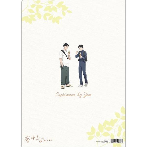 夢中さ、きみに。 グラフィックビッグポーチ クリアファイル 初版本 和山やま 夢中さ、きみに。 グラフィックビッグポーチ クリアファイル