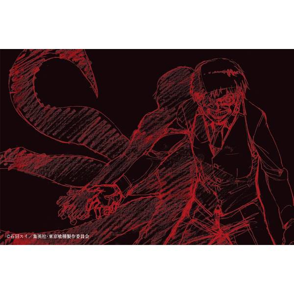 東京喰種トーキョーグール TVアニメ『東京喰種トーキョーグール』設定