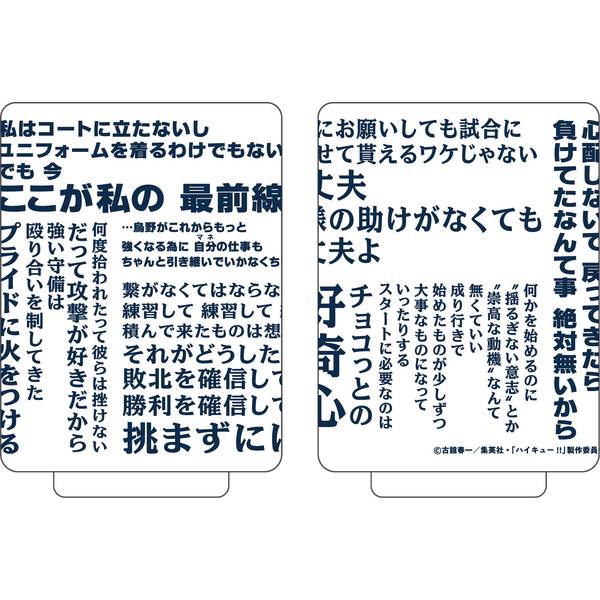 【12月予約】ハイキュー!! 湯呑み／清水潔子 キャラグッズ 4550621449659