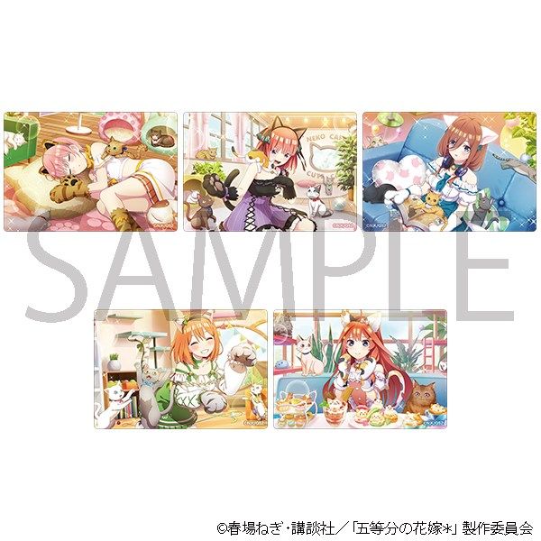 【4月予約】五等分の花嫁＊ アクリルシートコレクション(ネコカフェ) 5個入BOX キャラグッズ 4550621494499